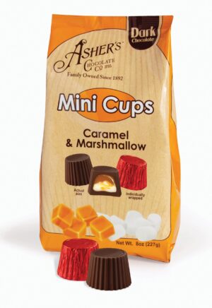 Asher's 5lb Small Marshmallow Vanilla Dark Chocolate Bulk